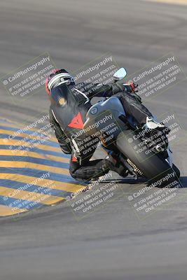 media/Nov-12-2023-SoCal Trackdays (Sun) [[5d1fba4e7d]]/Turn 10 Backside (115pm)/